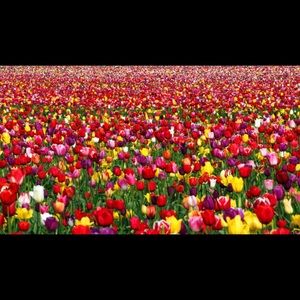 Meet your Posher, Noelia